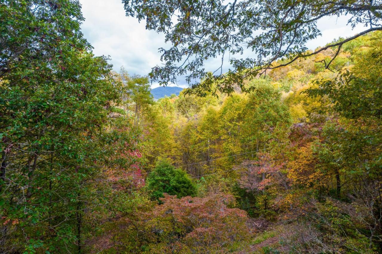 Mountain Top Tranquility シルヴァ エクステリア 写真